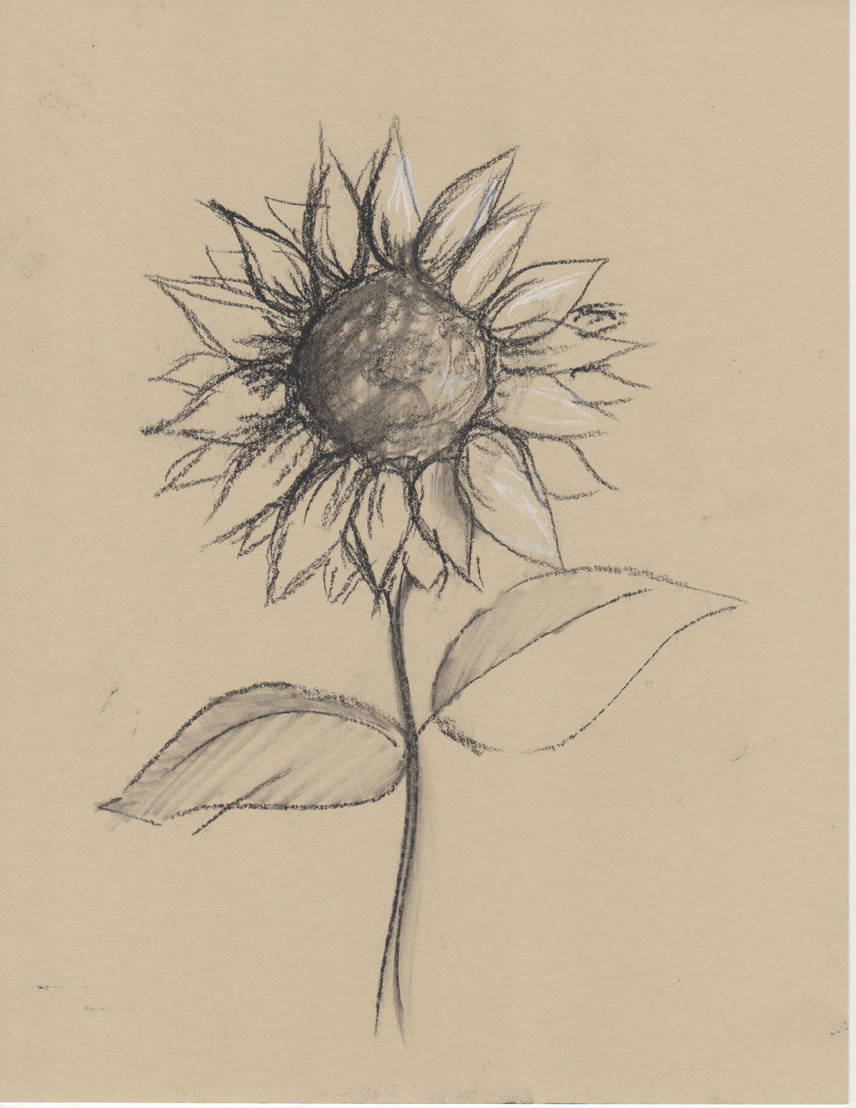 1236x1600 Black and white sketches of flowers Any Medium Even Just Pencil