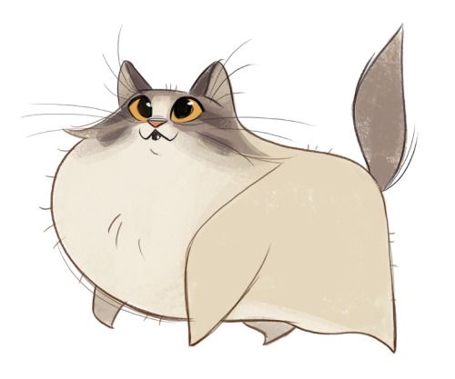 500x417 Tumblr Ny7dmrb7zp1sg9amyo1 500.jpg Feline