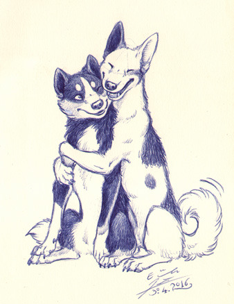 338x438 Cute Dog Fluffy Hugs Tumblr