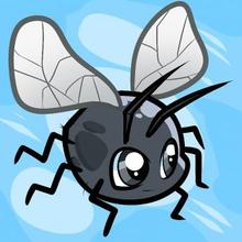 220x220 How To Draw How To Draw A Fly For Kids
