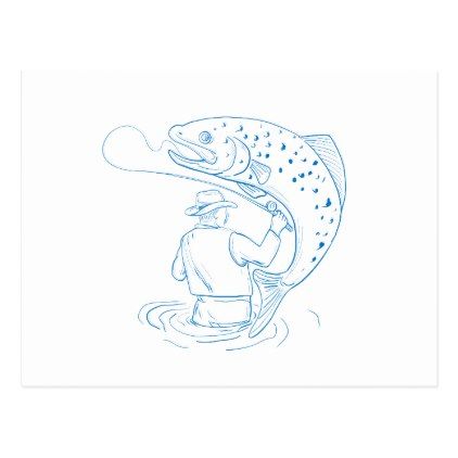422x422 Fly Fisherman Trout Fishing Drawing Postcard