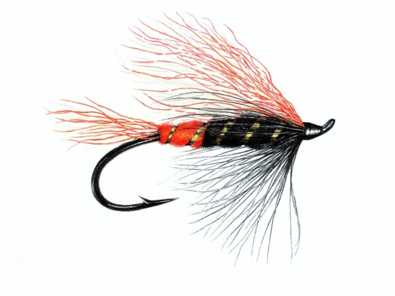 798x598 Max Canyon Steelhead And Salmon Pattern