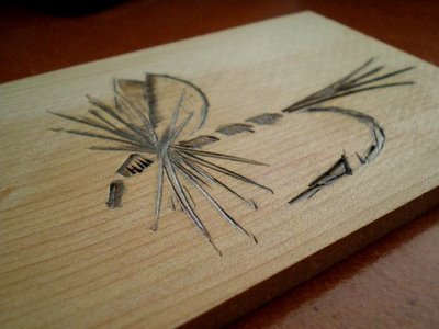 400x300 Drawing Flies 365