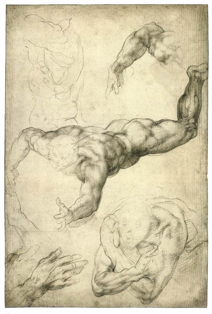 743x1100 Michelangelo Studies For A Flying Angel Black Chalk, 407 X 272 Mm