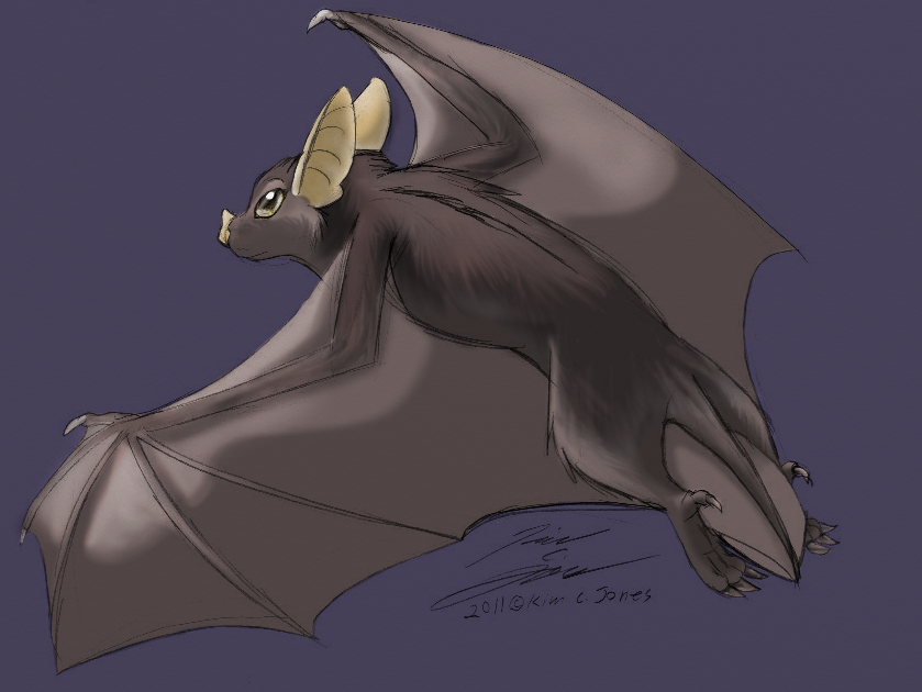 839x630 Flying Bat By Slasher12
