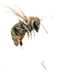 236x313 Flying Bee, Original Watercolor Painting, 12 X 9 In, Flying Honey