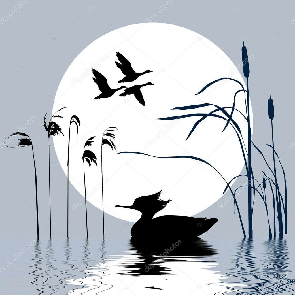 1024x1024 Vector Drawing Flying Birds On Background Sun Stock Vector