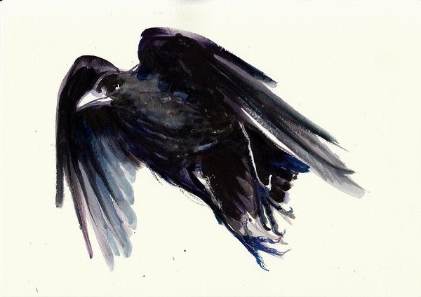 600x424 Dark Raven In Flight