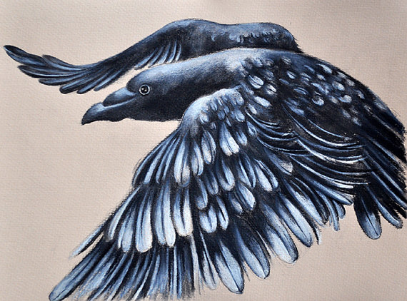570x422 Original Raven Graphite Drawing Crow Flying Gothic Art