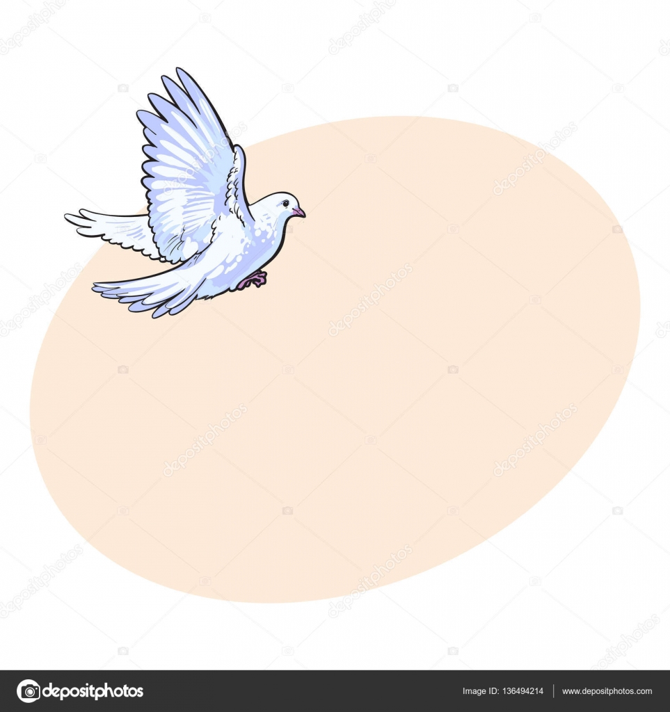963x1024 Free Flying White Dove, Isolated Sketch Style Illustration Stock