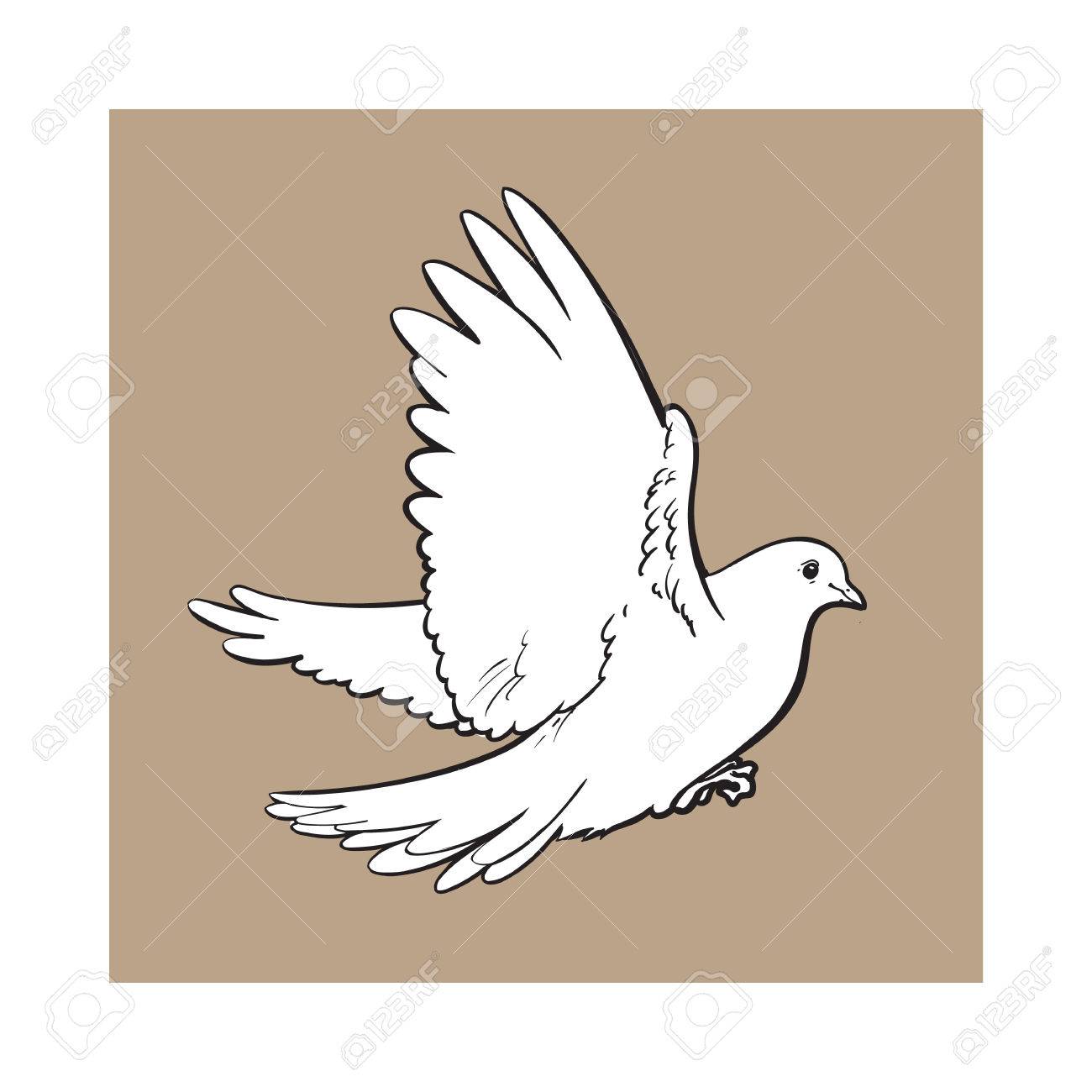 1300x1300 Free Flying White Dove, Sketch Style Vector Illustration Isolated