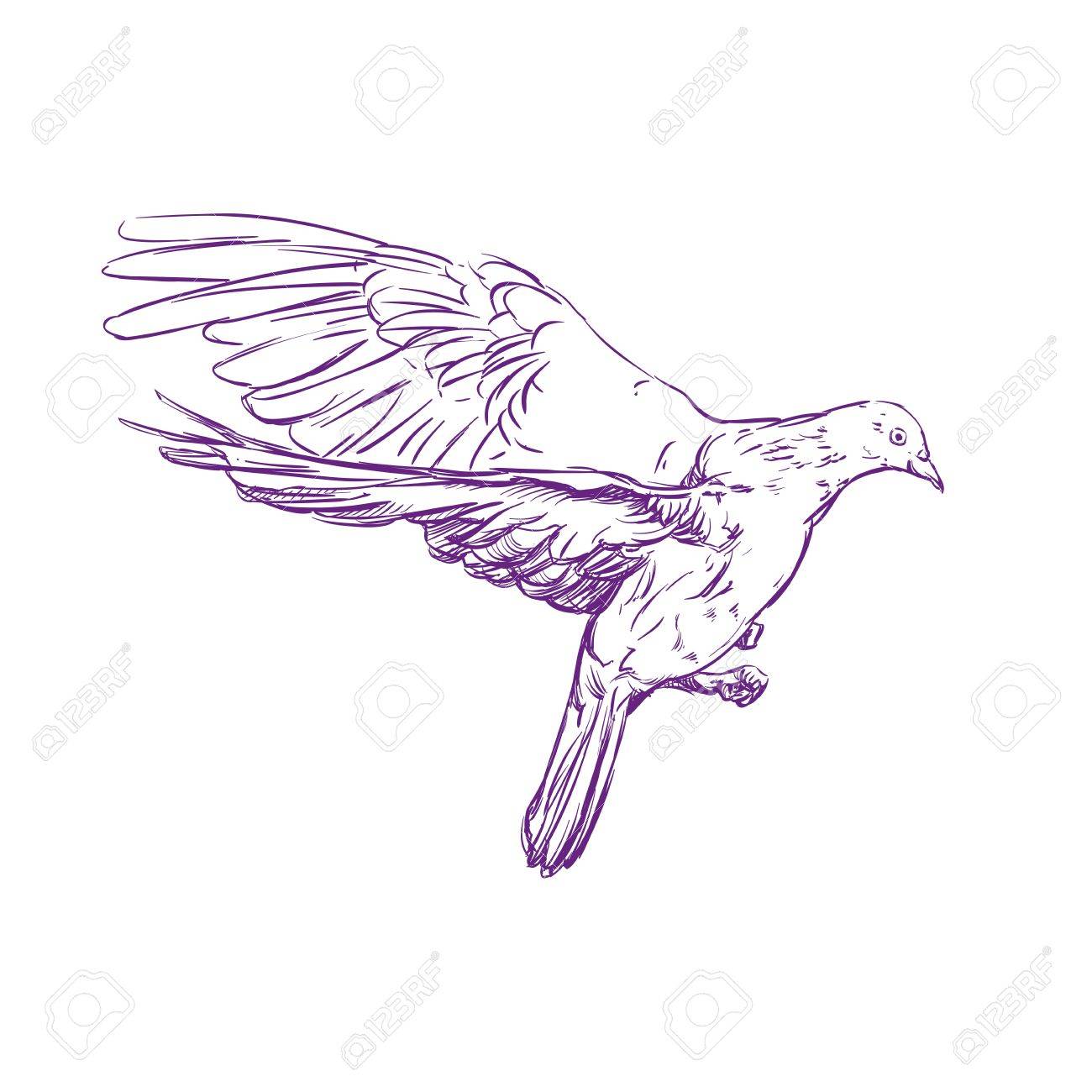 1300x1300 Flying Dove Hand Drawn Vector Llustration Realistic Sketch Royalty