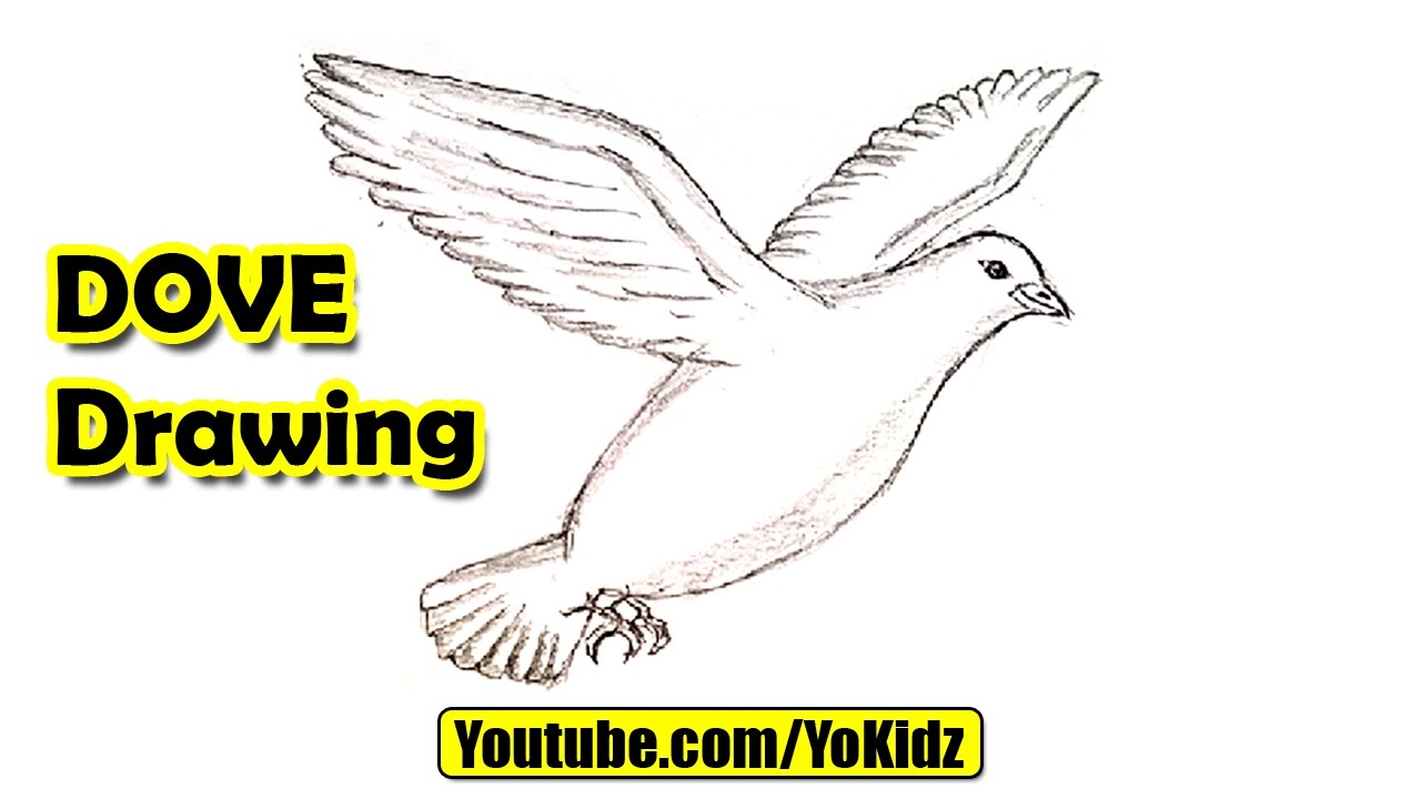 1280x720 How To Draw A Dove