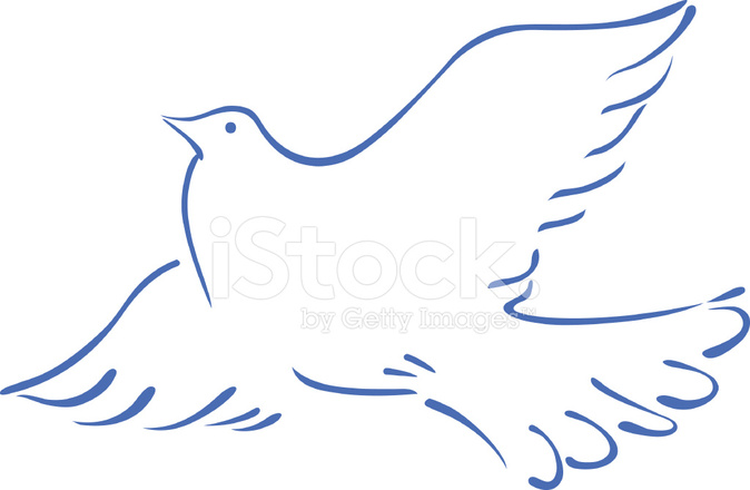 674x440 Sketch Of A Flying Dove Stock Vector