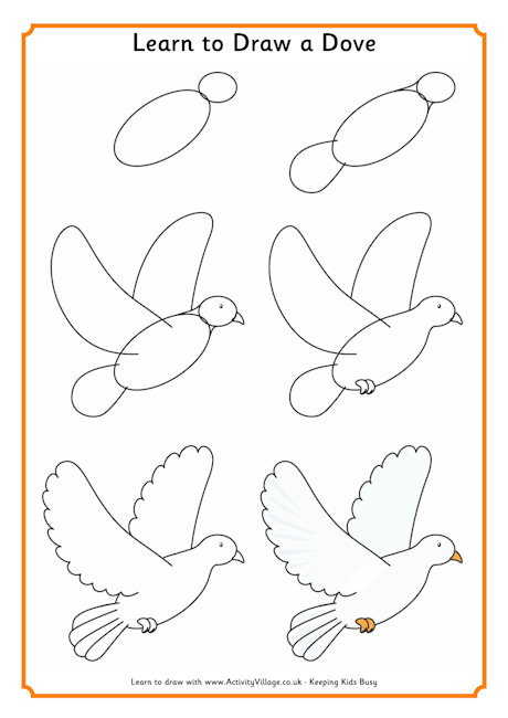 460x650 Learn To Draw A Dove 460 1.jpg