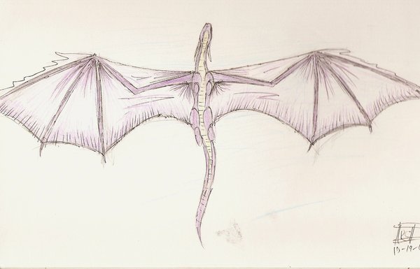 600x385 Flying Dragon Sketch By Jamiraseeger