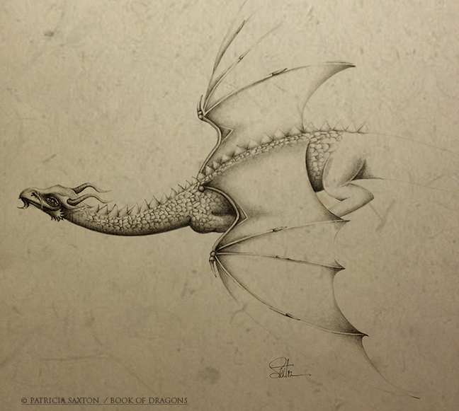 648x581 Flying Dragon Sketch