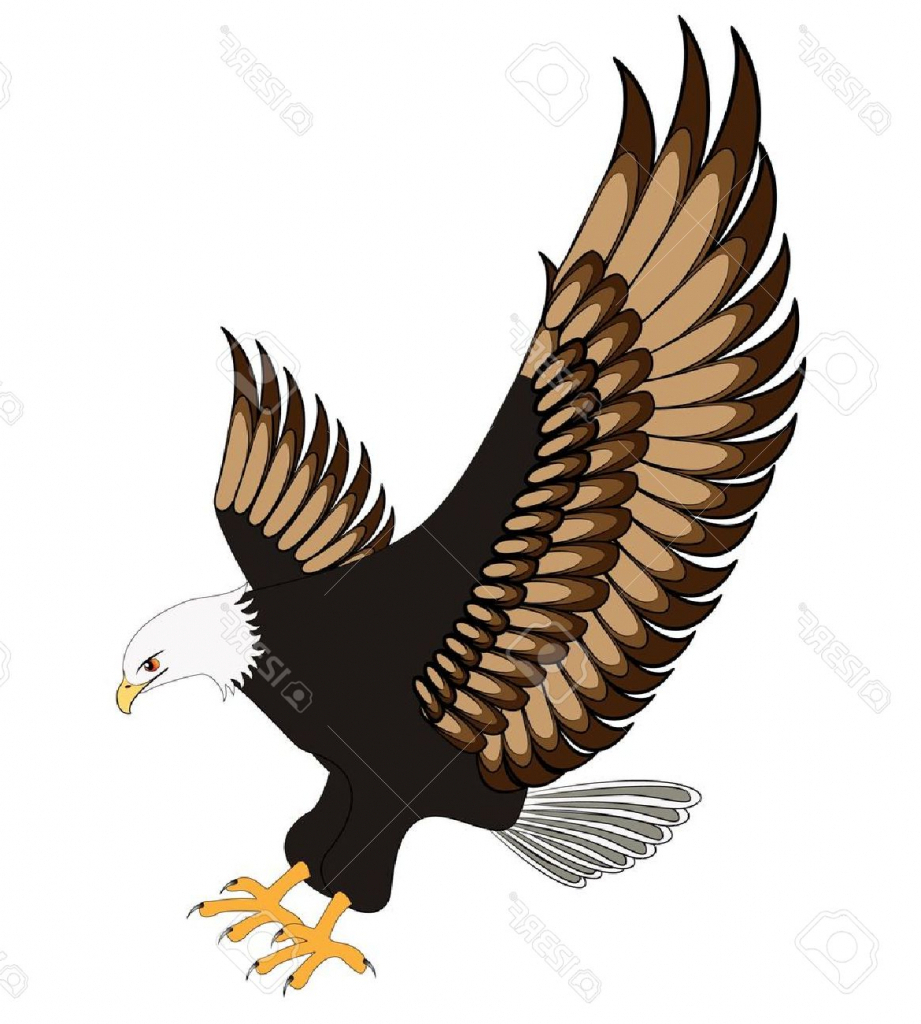 921x1024 Drawing Of An Eagle Flying How To Draw A Bald Eagle For Kids