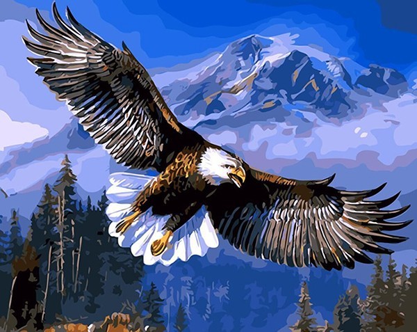 600x477 Flying Eagle Animals Diy Painting By Numbers Kit Hand Painted Oil