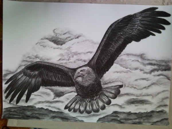 600x450 Flying Eagle By Ang92