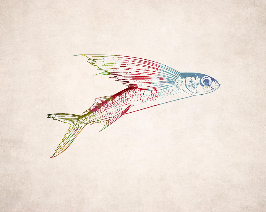 900x719 Flying Fish Illustration Digital Art By World Art Prints And Designs