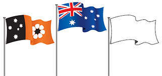 321x150 Flying The Nt Flag