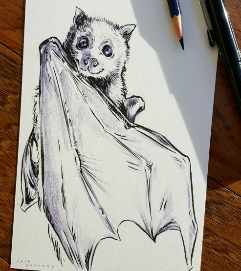 493x555 Happy Little Flying Fox. Instagram @artbykatekennedy