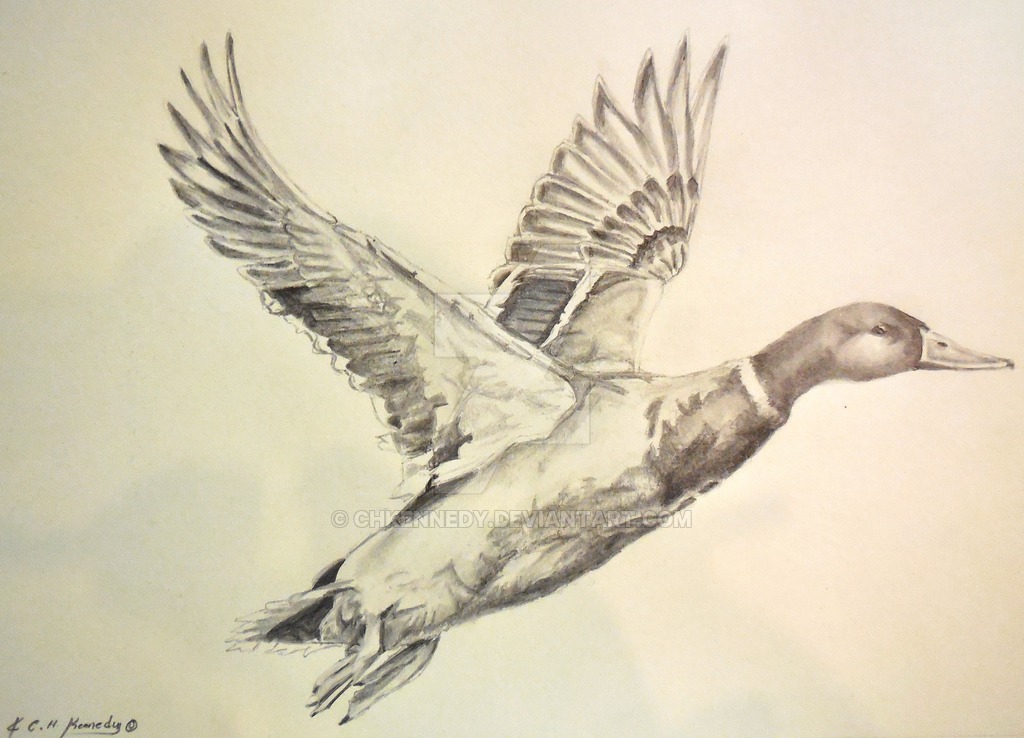 Flying Goose Drawing at GetDrawings | Free download