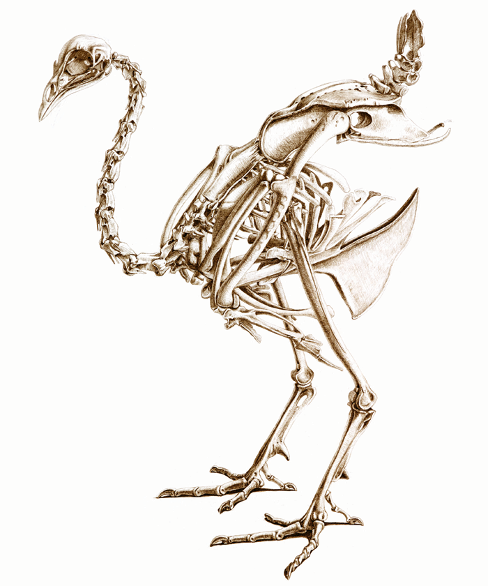 700x840 Google Image Result