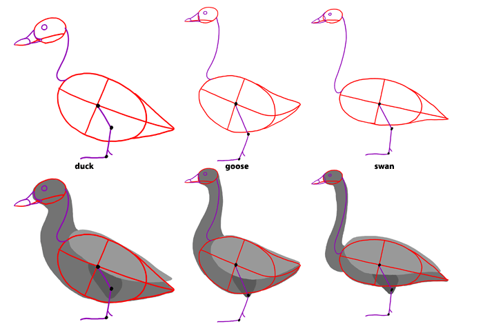 700x483 How To Draw Birds Step By Step Instructions