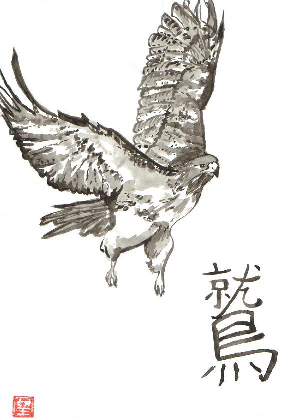 572x839 Flying Hawk Grey Ink Tattoo Design