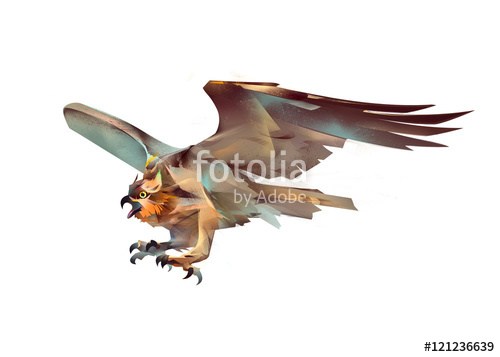 500x357 Drawing Flying Bird Hawk In Attack Stock Photo And Royalty Free