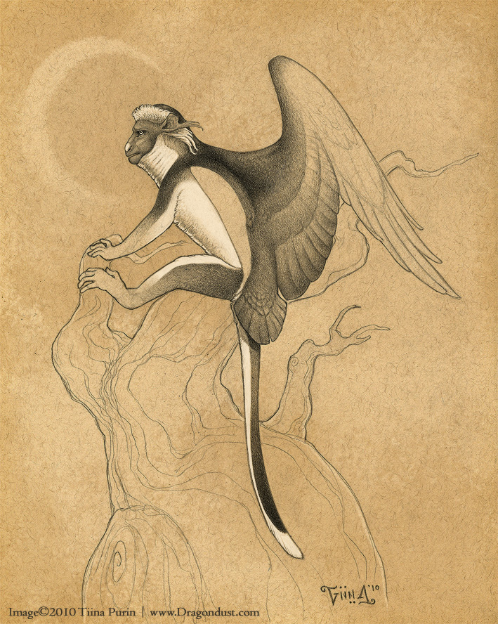 709x888 Spot Nosed Flying Monkey By Mirroreyesserval