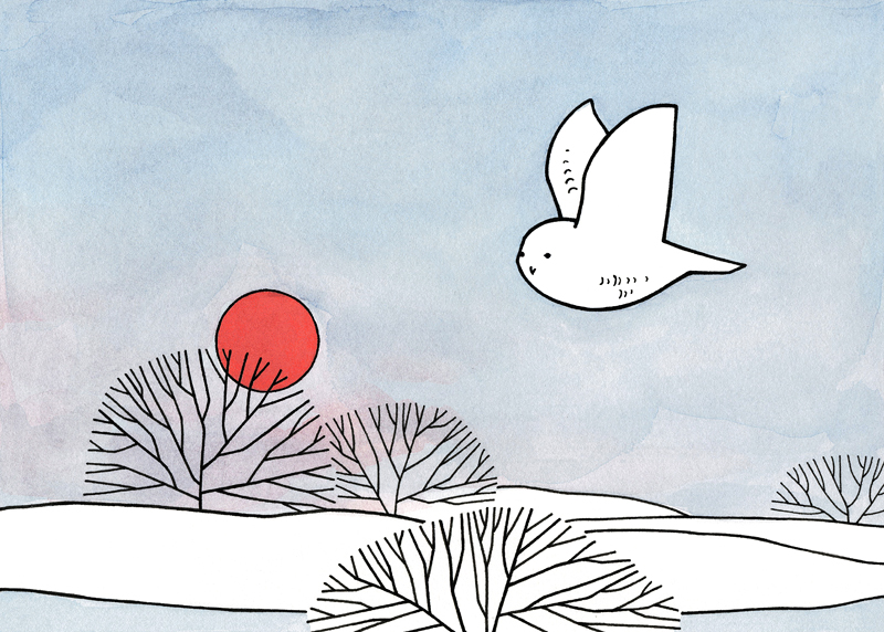 800x572 Drawn Owlet Winter Owl