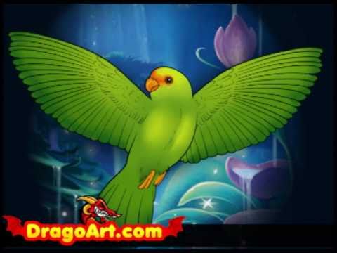 480x360 How To Draw A Flying Bird, Step By Step