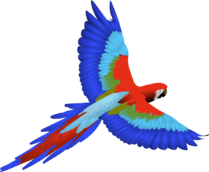 299x246 Parrot Clipart Panda