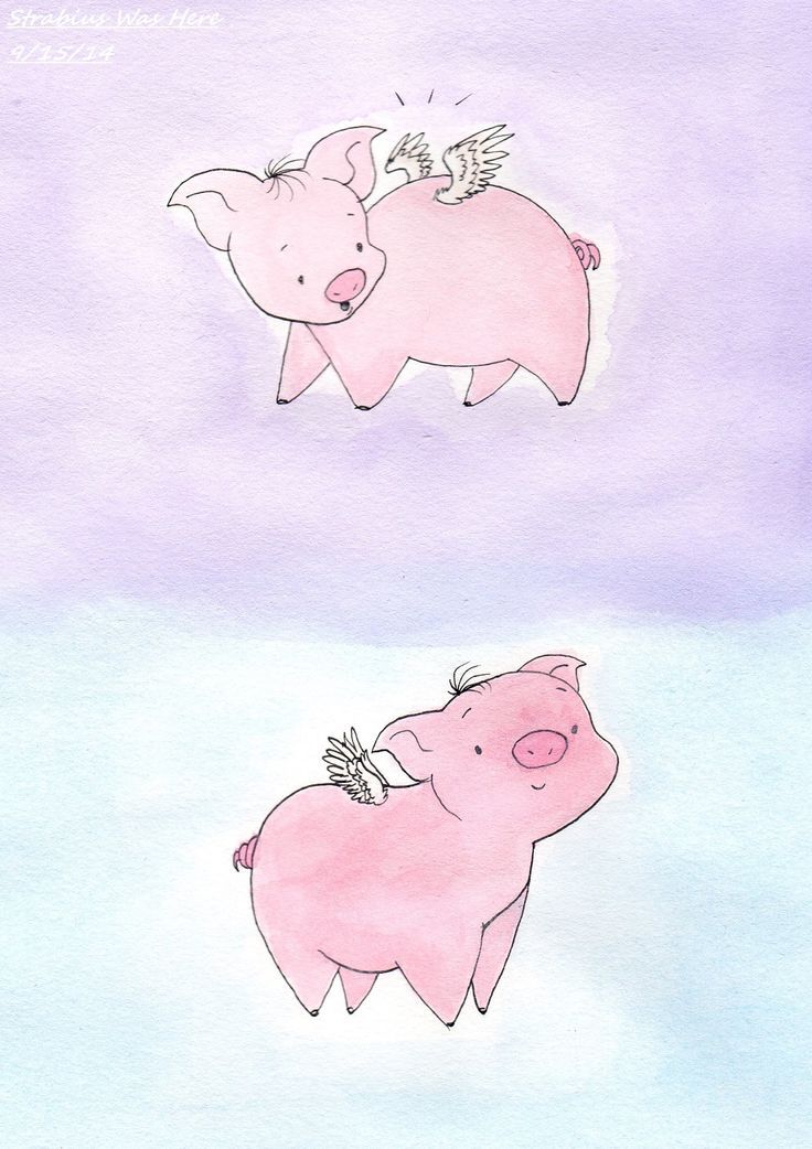 736x1042 Pretty 24 Flying Pig Cartoon
