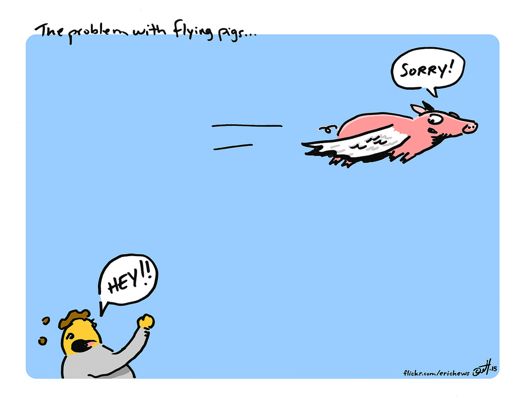 1024x791 The Problem With Flying Pigs