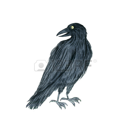 450x450 Watercolor Black Flying Raven, Drawing Bird, Hand Drawn