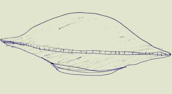 576x313 Ufo Sighted Near British Nuclear Weapons Facility
