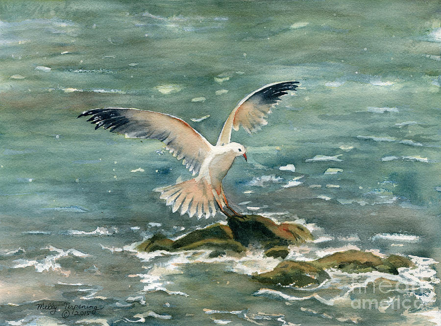 900x665 Flying Seagull Paintings