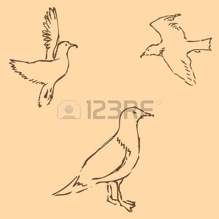 450x450 Hand Drawn Flying Seagulls. Black And White Illustration Sketch