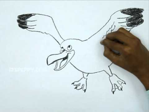 480x360 How To Make A Flying Seagull Bird