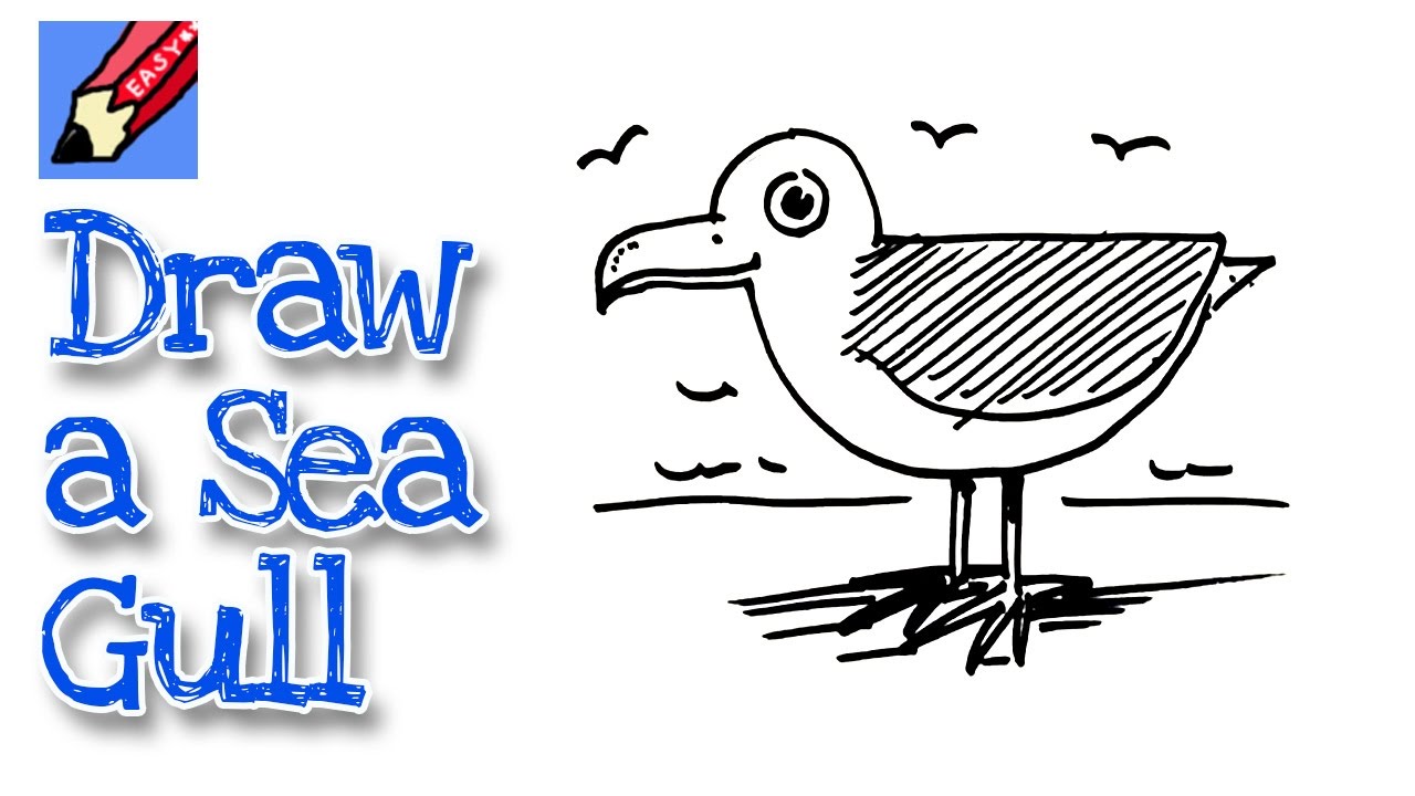 1280x720 How To Draw A Seagull Real Easy
