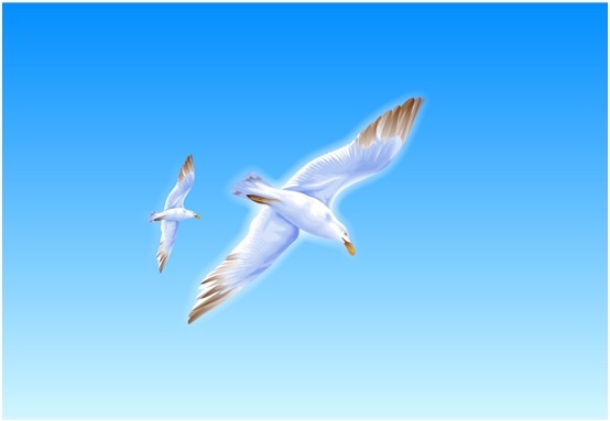 554x383 Seagull Flying Drawing Colorful Design Realistic Style Free Vector
