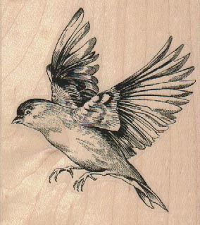 284x319 Large Bird Flying Left 3 X 3 14