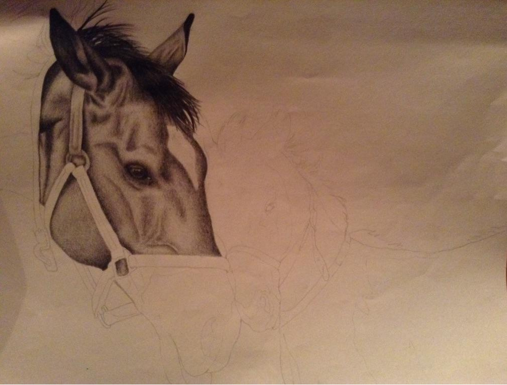 1006x763 Horse And Foal Drawing (Not Finished Yet) By Ariana 1997