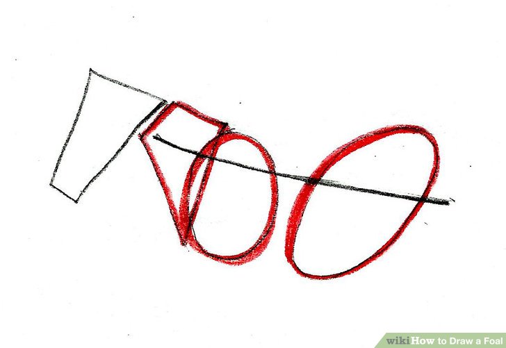 728x501 How To Draw A Foal 9 Steps (With Pictures)