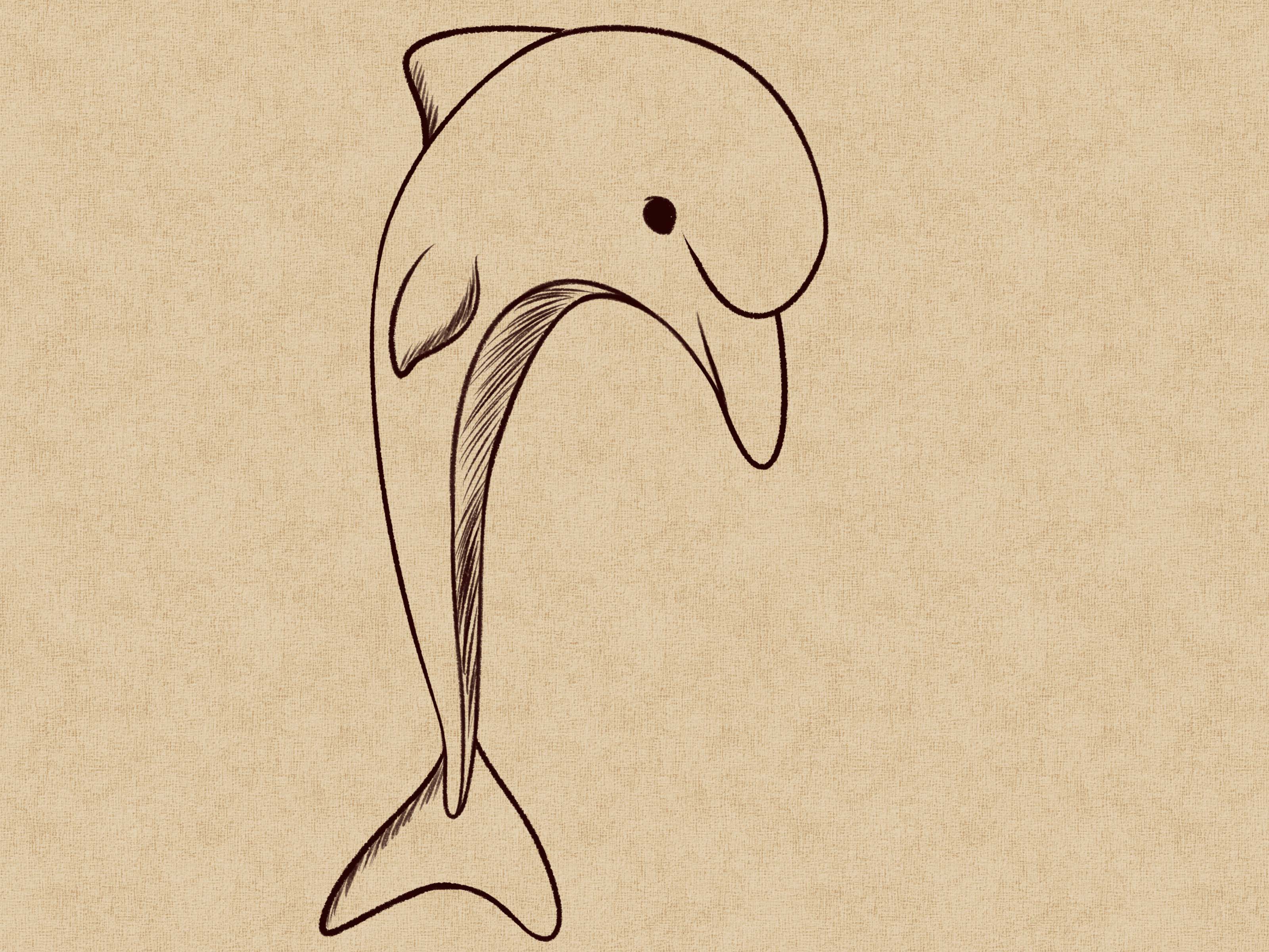 3200x2400 Focus Drawing Pictures Of Dolphins Wise Dolphin Drawings