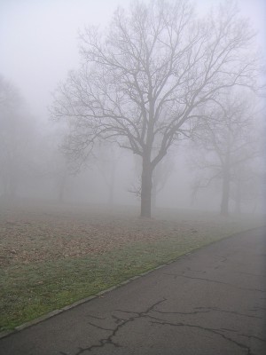 300x400 How To Paint Landscapes With Four Value Design